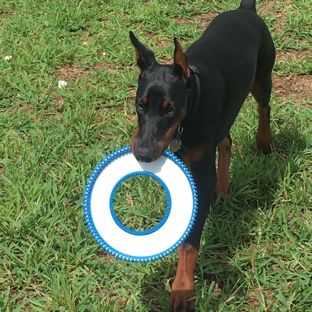 Meet your Posher, Laura